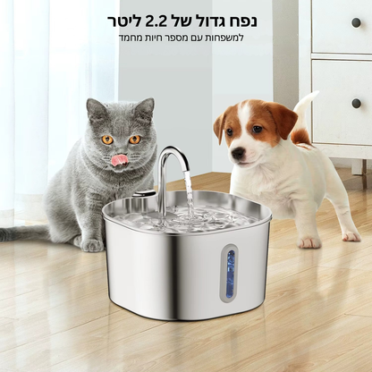 מזרקת המים מבית - מיאוורס