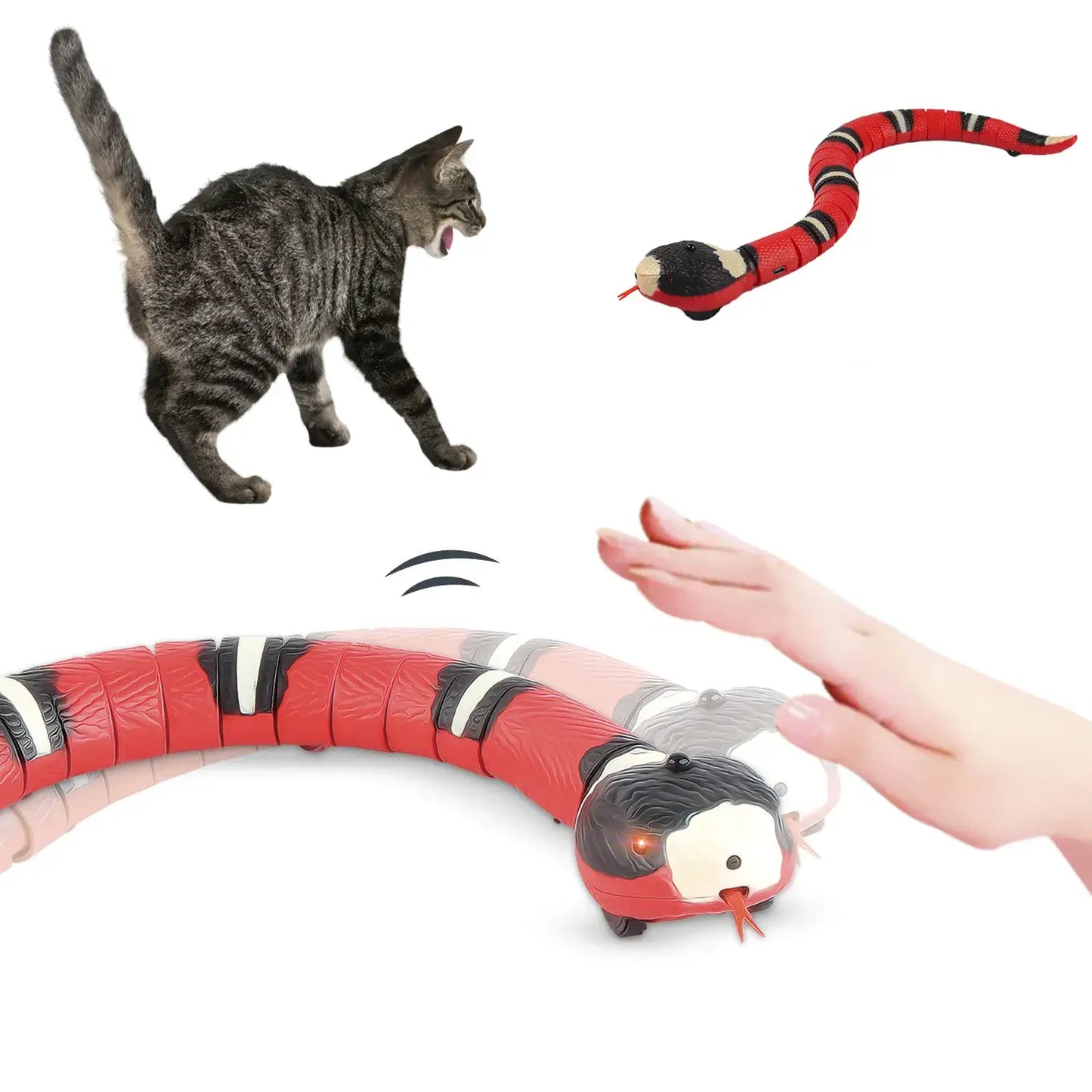 SmartCat™