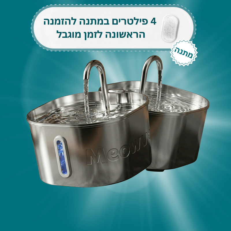 מזרקת המים מבית - מיאוורס