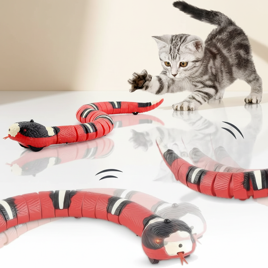 הסמארט קט - נחש אינטראקטיבי