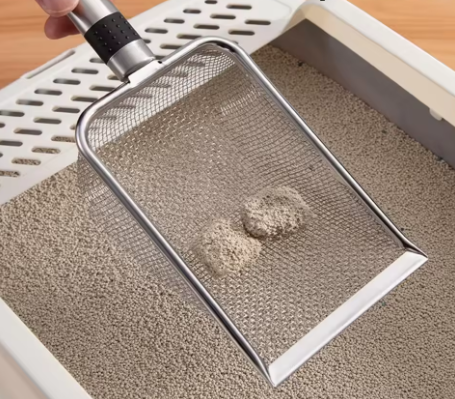 כף עמידה לחול