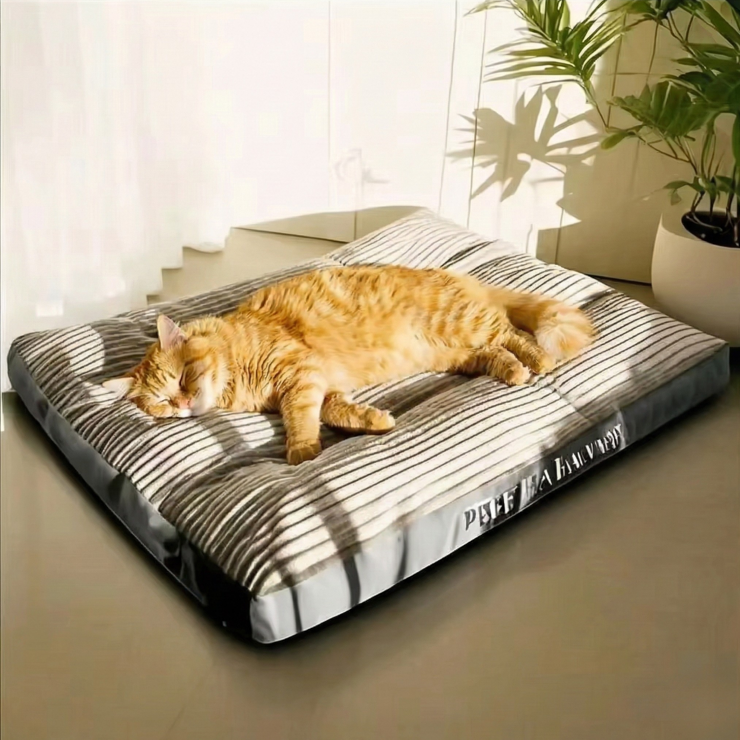 מיטת כרית לחתול