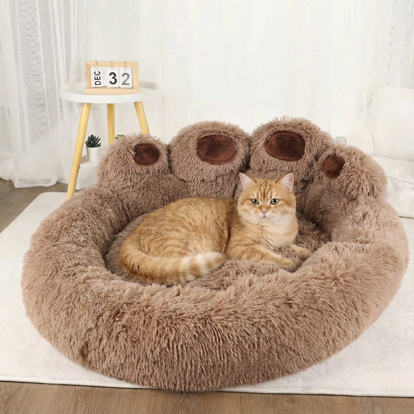 מיטת הדונאט