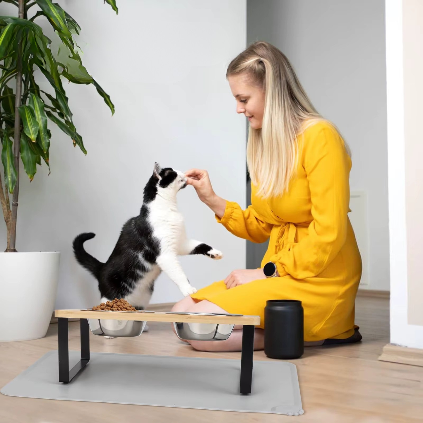 קערות מוגבהות לחתול