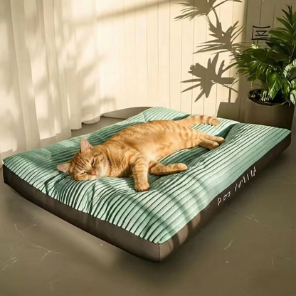 מיטת כרית לחתול