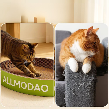 תיבת גירוד - אלמאדו