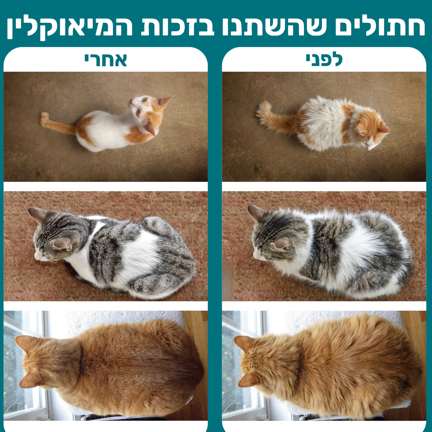 המיאוקלין - שואב חדשני מבית מיאוורס