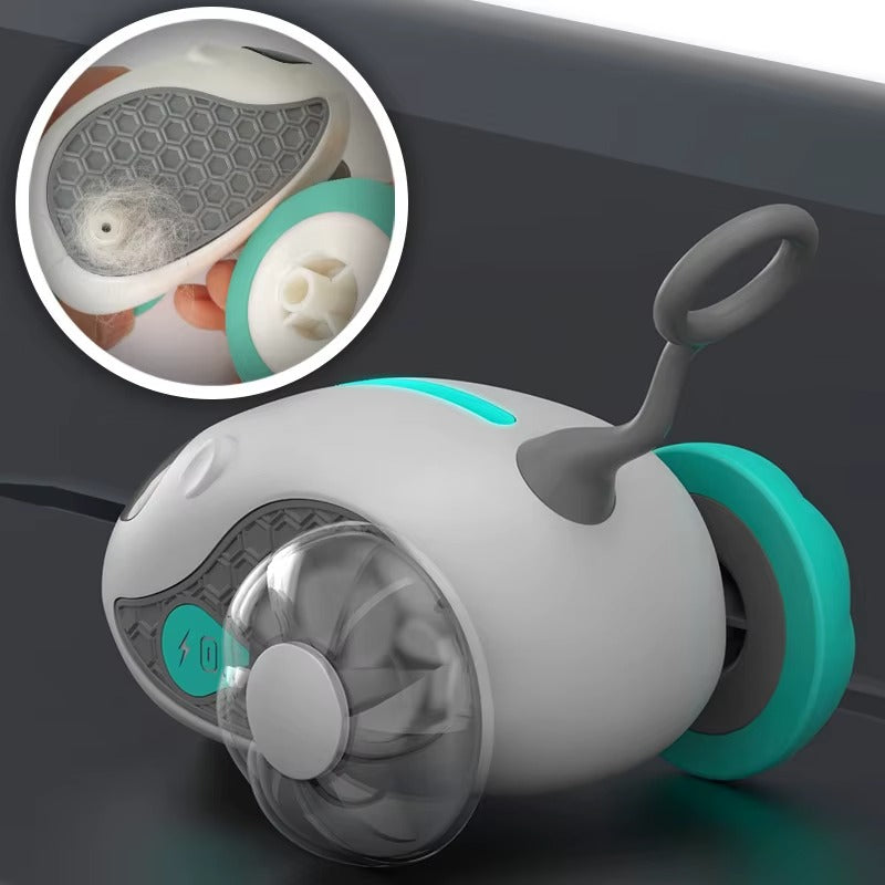 מכונית על שלט