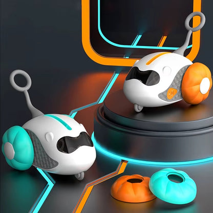 מכונית על שלט