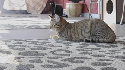 סמארט קט - נחש אינטראקטיבי🐍