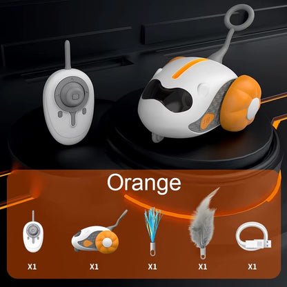 מכונית על שלט