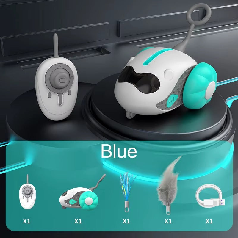 מכונית על שלט