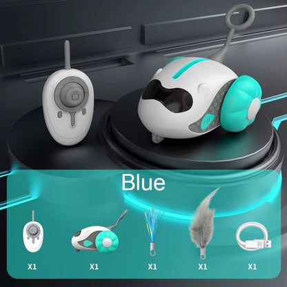 מכונית על שלט