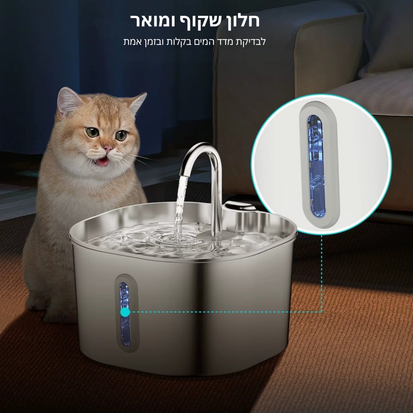 מזרקת המים מבית - מיאוורס